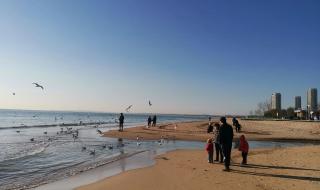 海鸥飞处彩云飞优酷 海鸥飞处彩云飞优酷